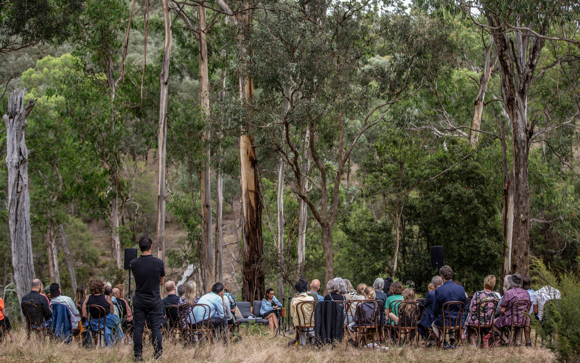 dominant color placeholder