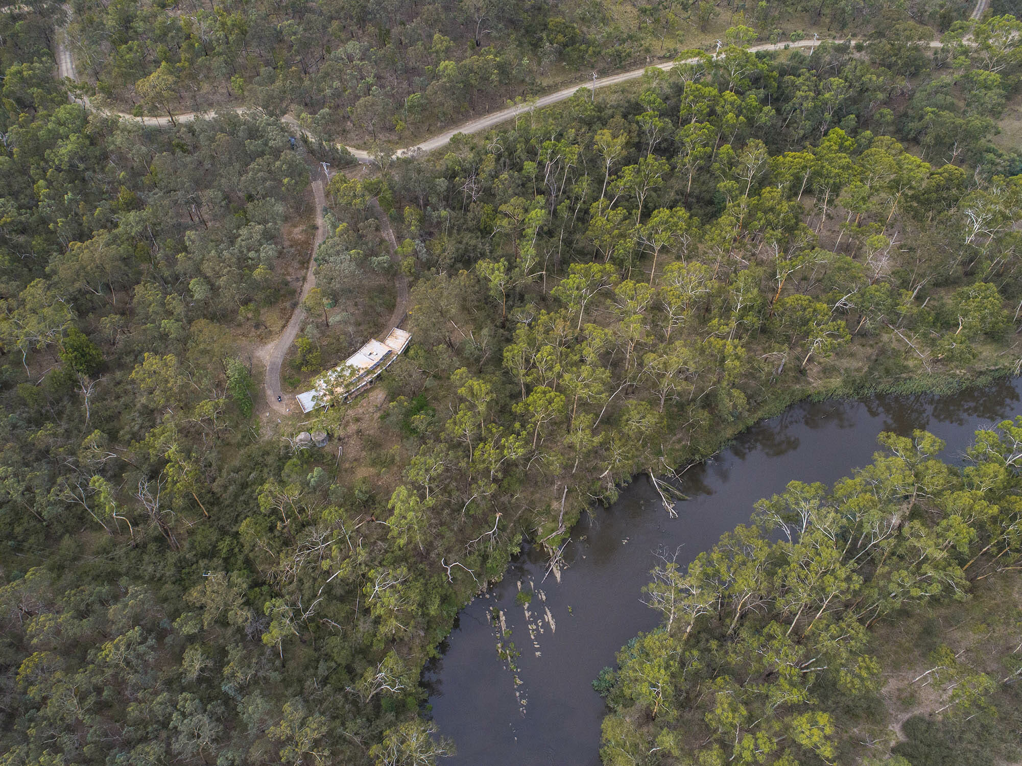 dominant color placeholder