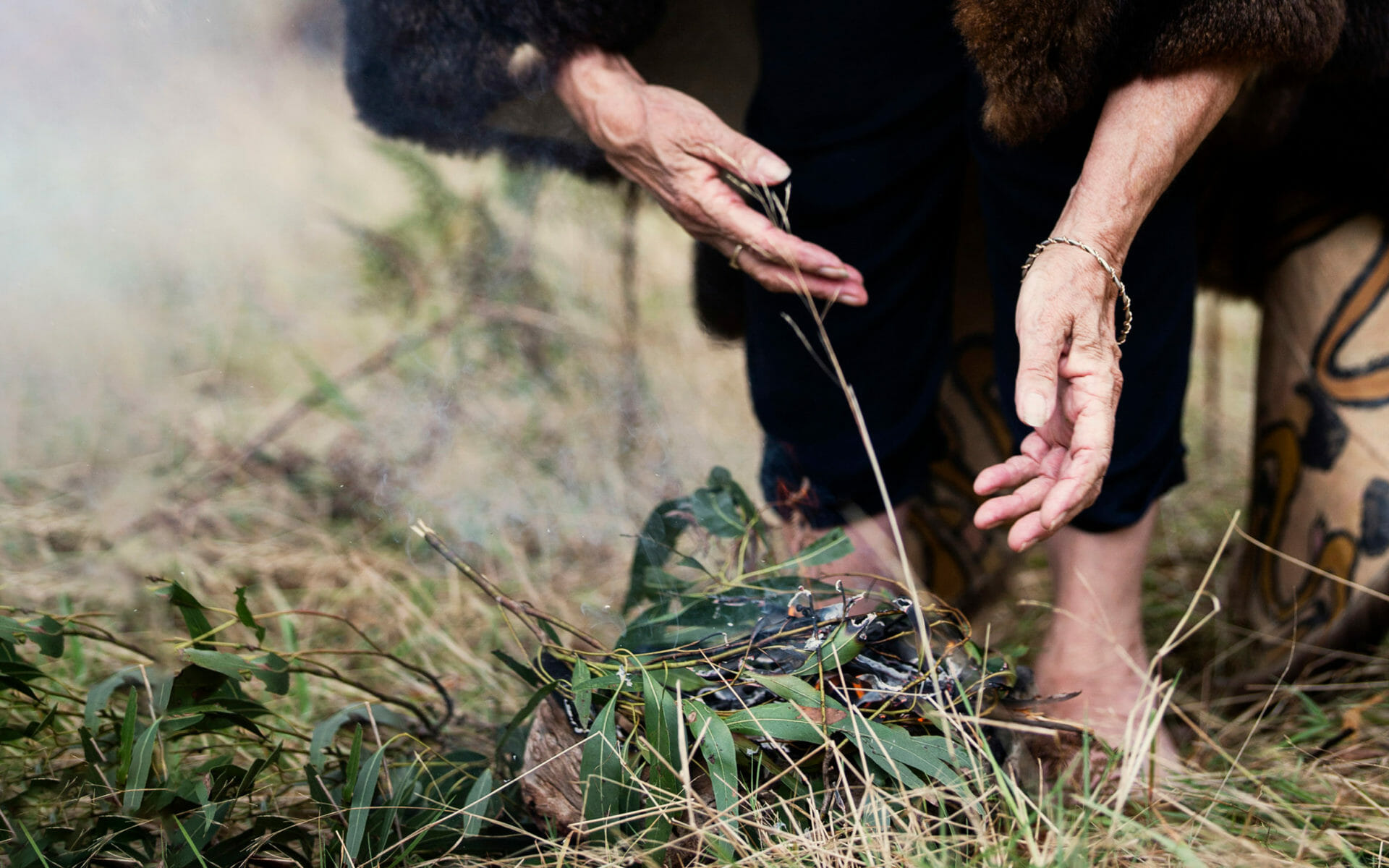 dominant color placeholder