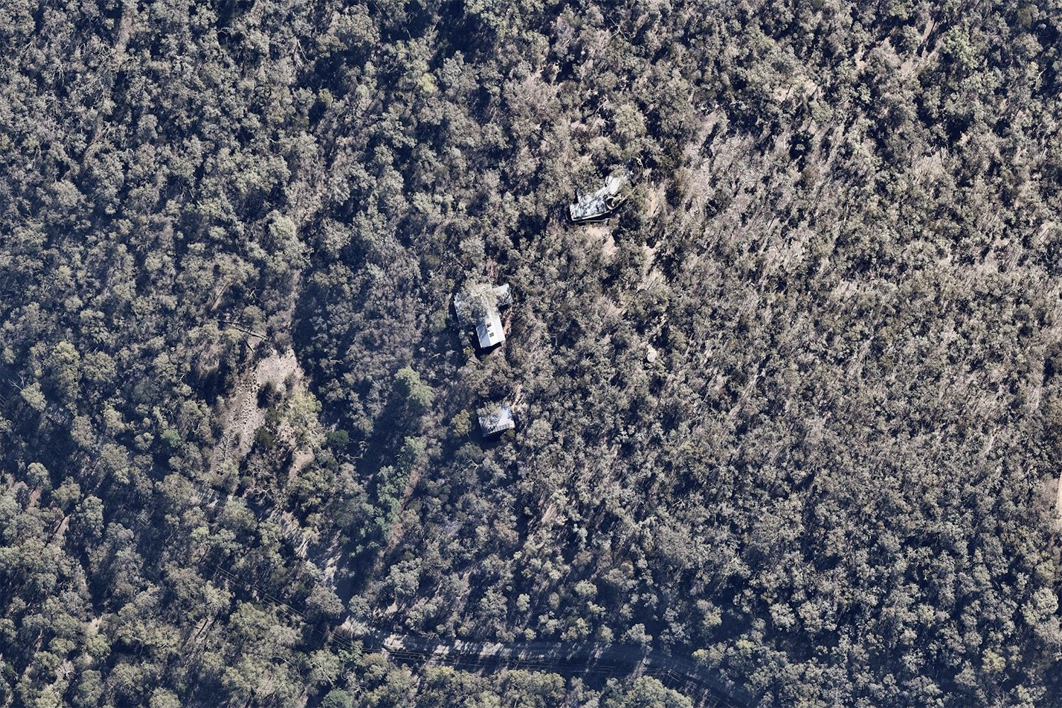 dominant color placeholder