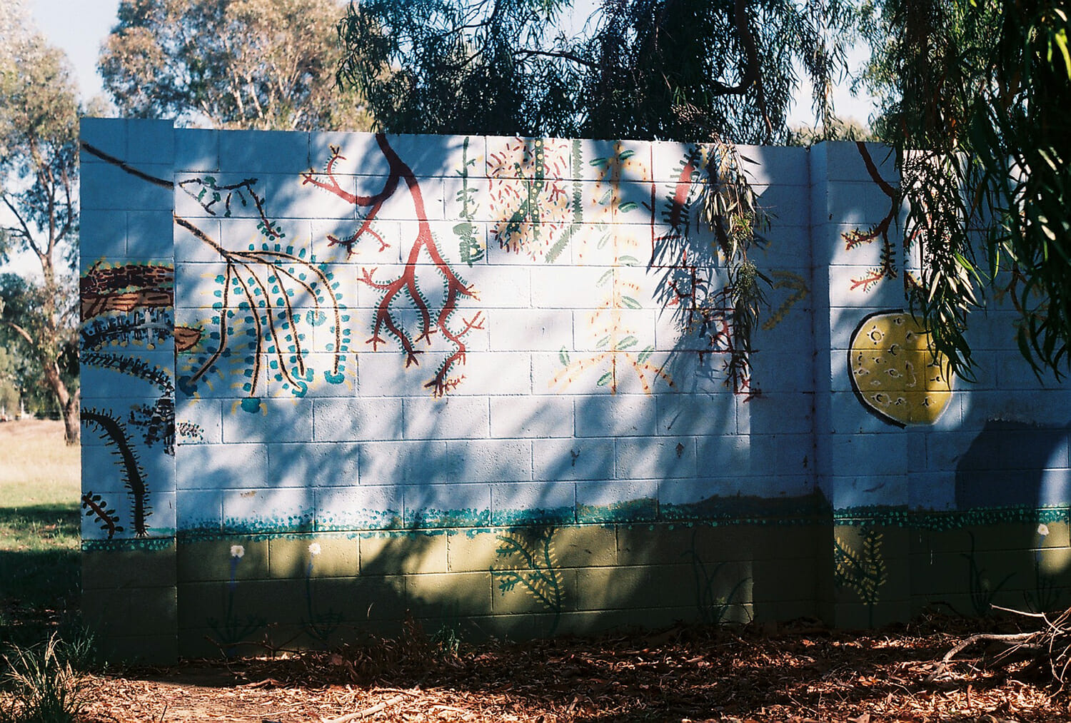 dominant color placeholder